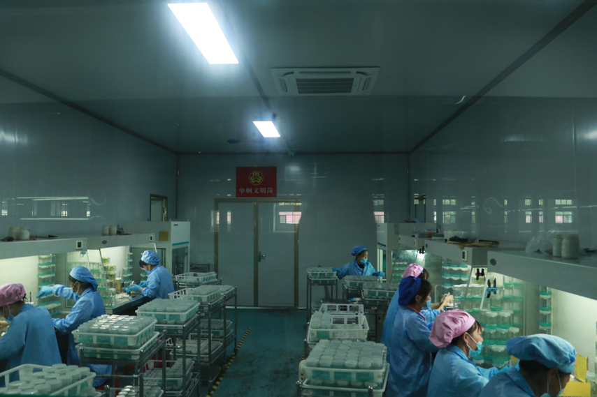 CA888亚洲城