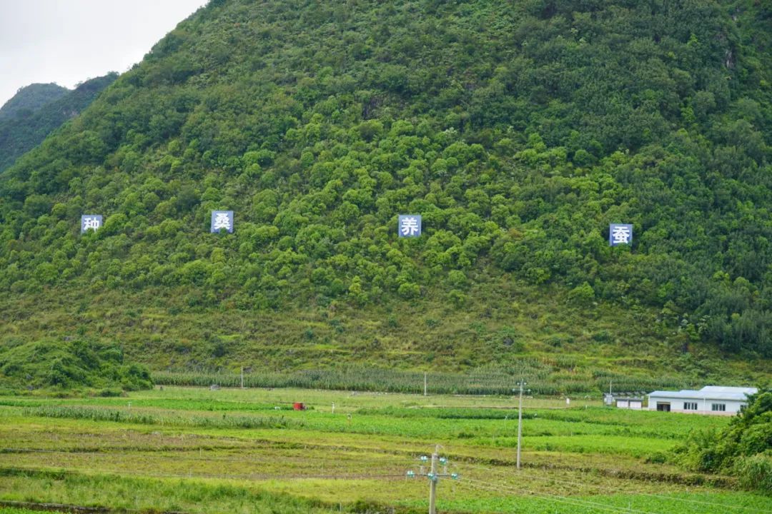 CA888亚洲城