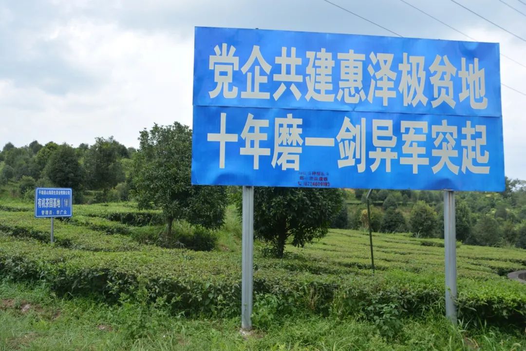 CA888亚洲城