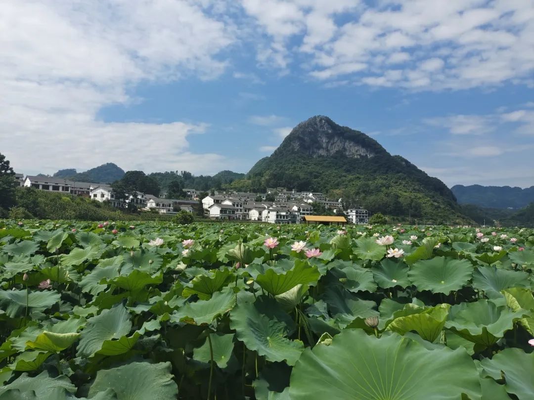 CA888亚洲城