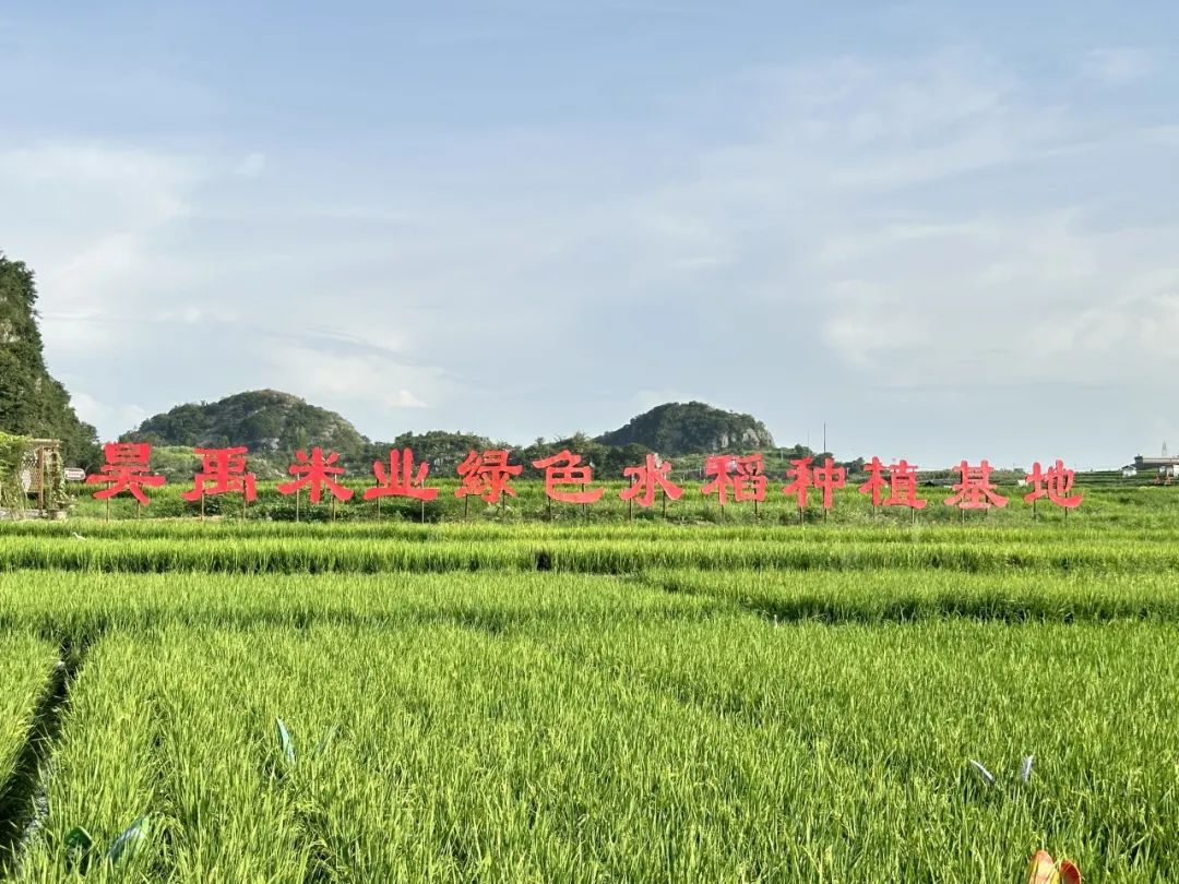 CA888亚洲城