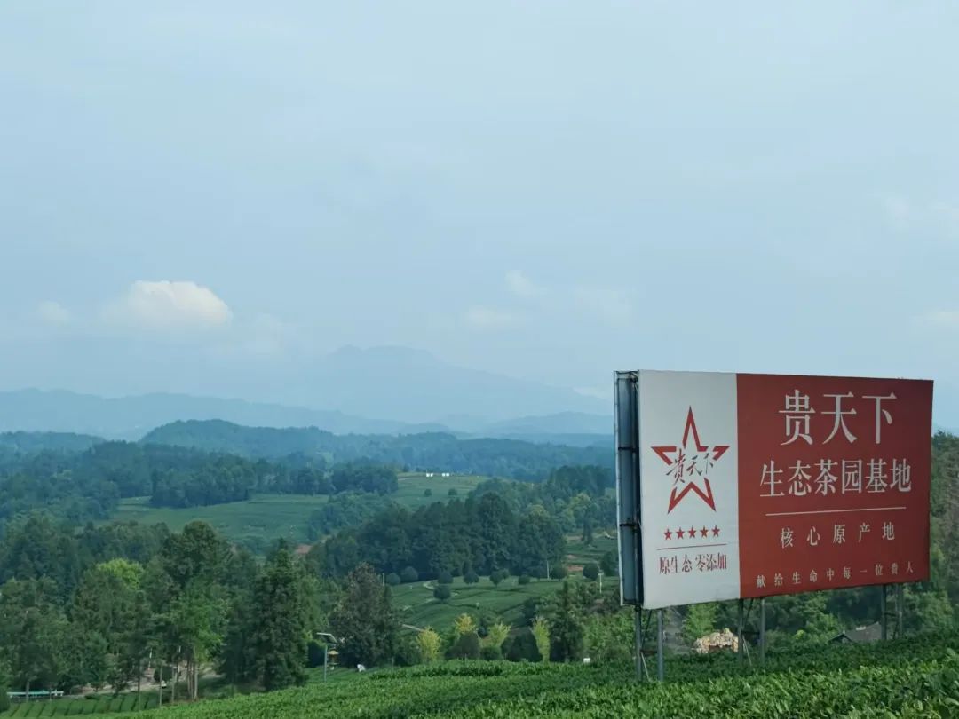 CA888亚洲城
