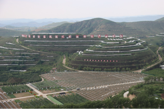 CA888亚洲城