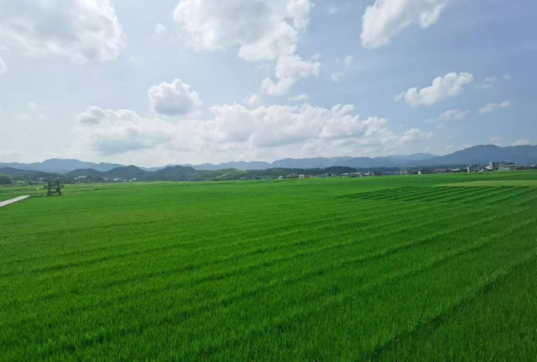 CA888亚洲城
