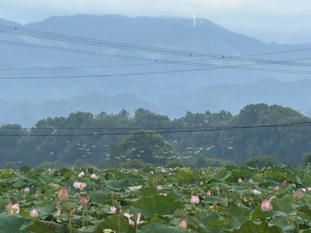 CA888亚洲城
