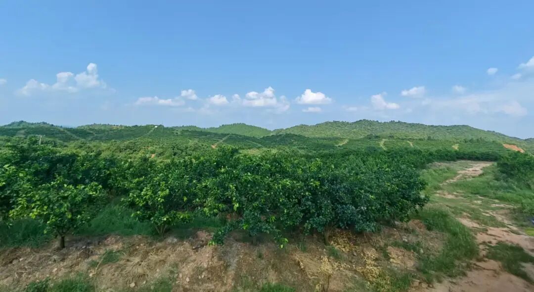CA888亚洲城