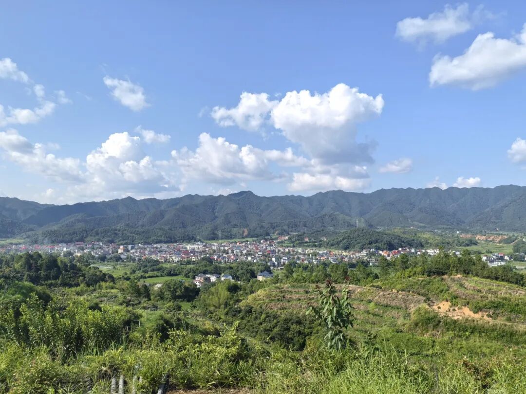 CA888亚洲城