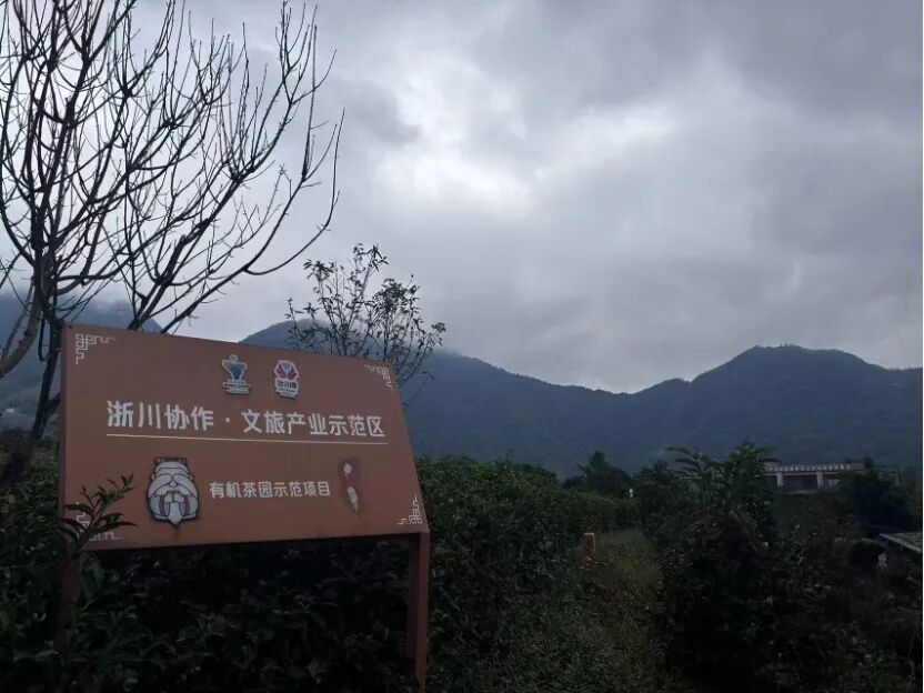 CA888亚洲城