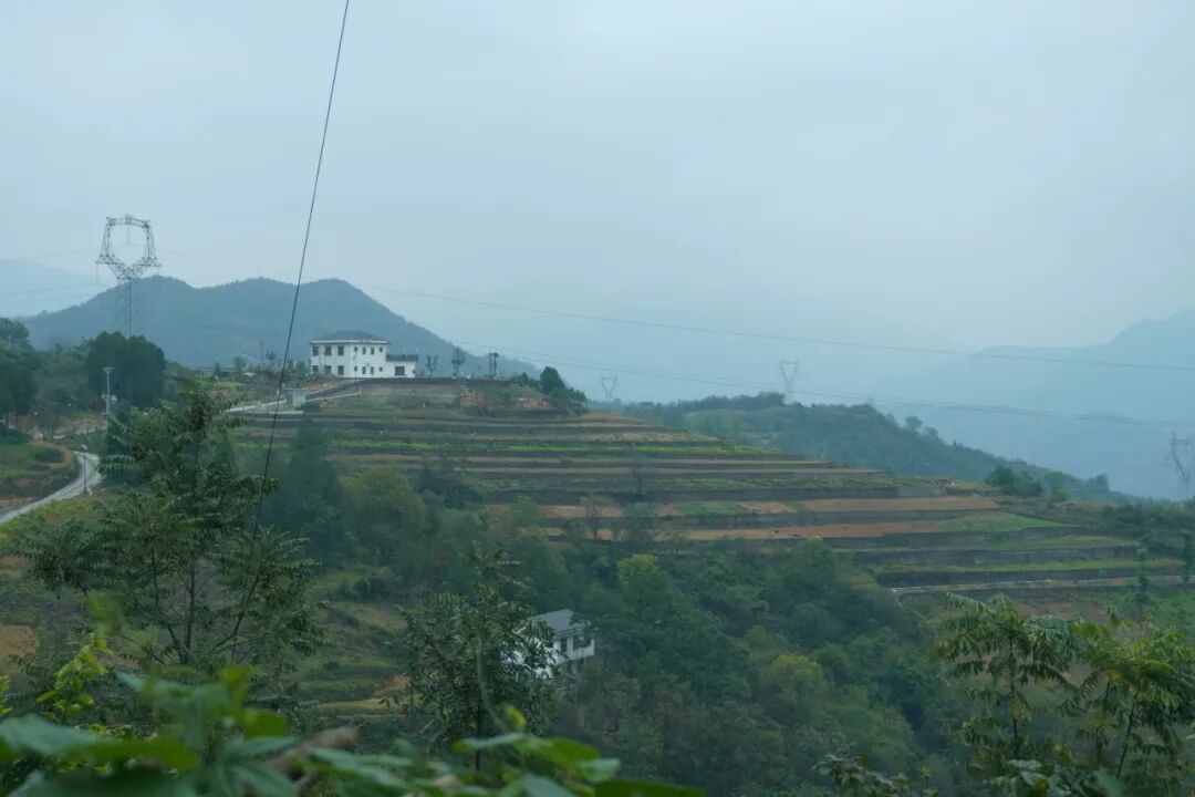 CA888亚洲城